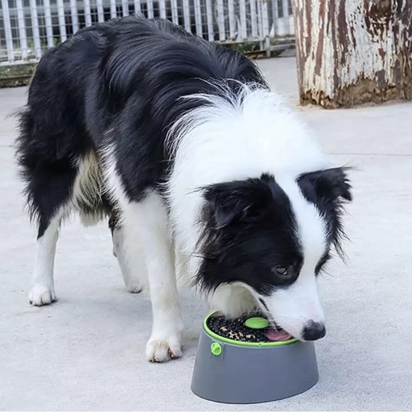 Multi Purpose Dog Feeder Toy For Slow Feeding Animal Training New NIB - Picture 12 of 12